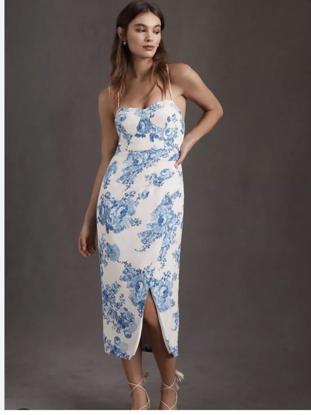BHLDN Emanuelle Georgette Dress Blue Floral Size US 12